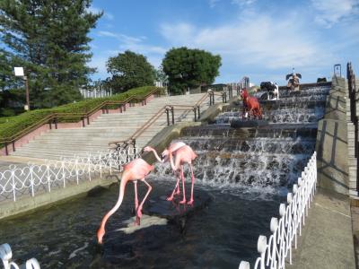 待ち焦がれた埼玉こども動物自然公園（１）久しぶりの園内いろいろ動物以外＆キリン売店で買い物＆ソーシャルディスタンス・コレクション[追加]