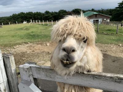 犬連れ那須高原の旅 １泊２日