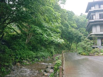 近くにも良い所があったんだ～！名栗温泉 大松閣 の旅