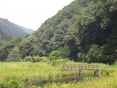 檜枝岐まで 2013夏