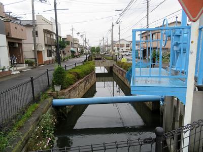 2020年6月 見沼代用水路の終点を目指す