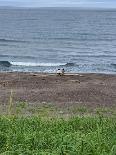 とらべるまんwithコロナの北海道2020年　原生花園を見るぞ　6月28日　2/2