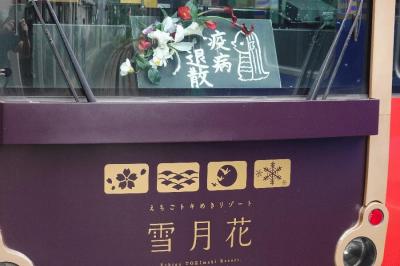 【大人鐡7】えちごトキめき鉄道「えちごトキめきリゾート雪月花」編