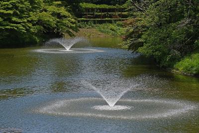 予約して訪れたDIC川村記念美術館とその庭園