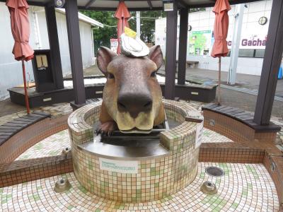 車デビューの伊豆のレッサーパンダ遠征（２）道の駅ぐらんぱるぽーとと伊豆シャボテン動物公園でおみやげとグルメといろいろ～シャボテンは買わず