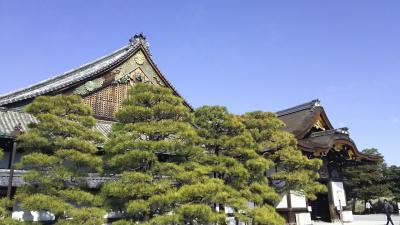 いにしえの都～30年越しの京都の旅