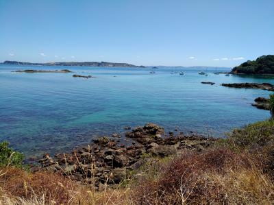 3度目のNZは北島！車なし母娘旅⑥鳥の楽園ティリティリマタンギ島