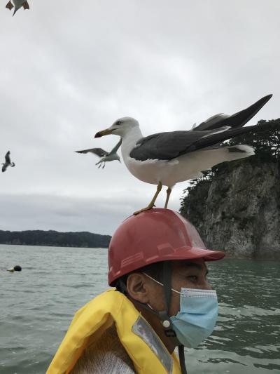 2020.07 東北周遊(岩手県篇2、三陸海岸観光)
