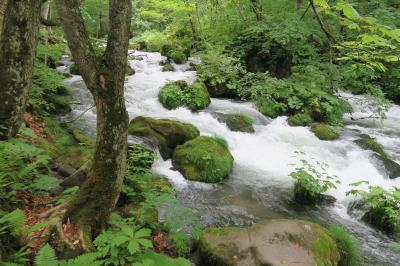 2020.07 東北周遊(青森県篇、奥入瀬渓流観光)