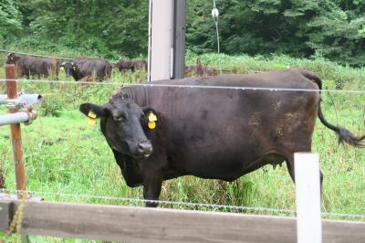 2020.07 東北周遊(帰宅篇、那須でランチ&野菜購入)