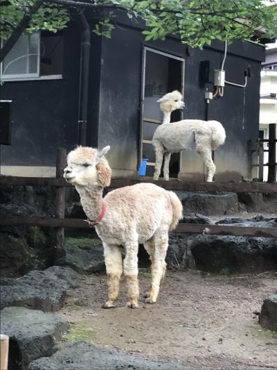 静岡の旅　三島の街歩き