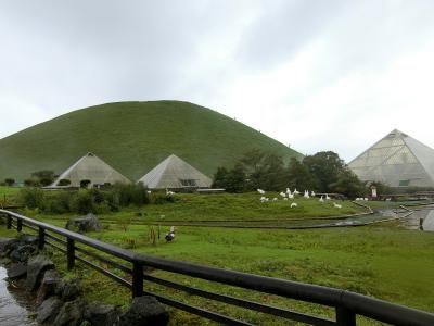 雨でも、大人でも、楽しい、伊豆シャボテン動物公園