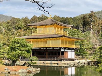 1泊2日京都旅行で定番どころを一気見する旅