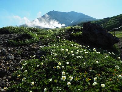 神々の遊ぶ庭へ　旭岳登山旅行　その2旭岳、間宮岳、裾合平周回コース前編