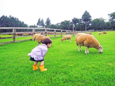 子連れで行く！まかいの牧場で動物とふれあおう