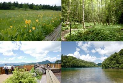 ニッコウキスゲが見頃な尾瀬から、丸沼・菅沼そして日光白根山への旅&#12316;