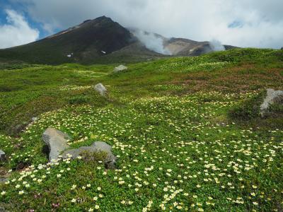 神々の遊ぶ庭へ　旭岳登山旅行　その3旭岳、間宮岳、裾合平周回コース後編