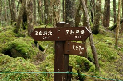 蓼科・岡谷 旅行（1泊）2020年7月 ①　白駒の池と苔・滝の湯