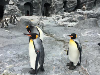 Discovery Of Japan ~北海道（旭川）　後編