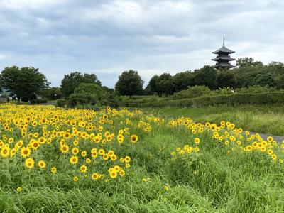 古代ロマンを感じる吉備路ウォーキング