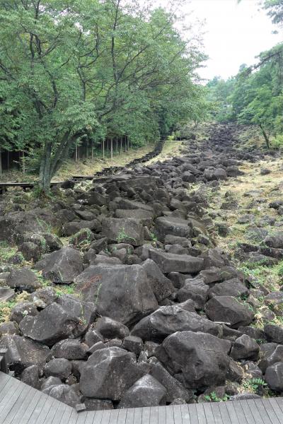 初☆嫁とお出かけ♪フォレストパーク神野山で蛇も蛙もクワガタも羊も一緒