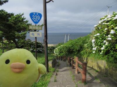 青森県津軽地方を たびするトリ　　　