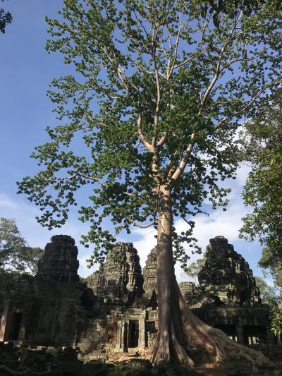 バンデアイクデイ