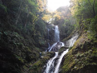 徳島県に関する旅行記 ブログ 16ページ フォートラベル