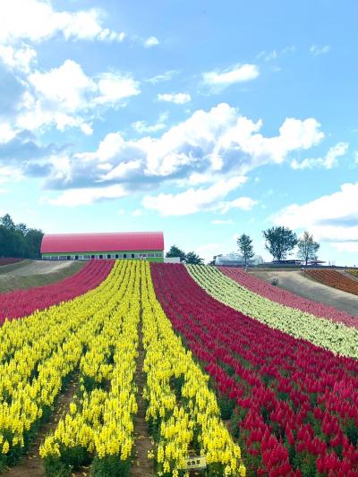 夏の北海道 2020 vol.1 富良野・美瑛