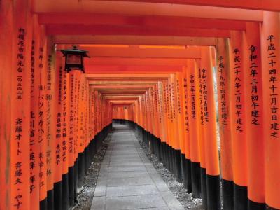 静寂の中の京都　一人旅