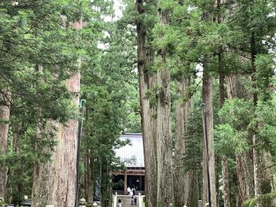 世界遺産からご当地グルメまで