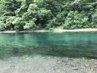 北海道②～9年連続水質日本一！支笏湖ブルーに魅せられて～