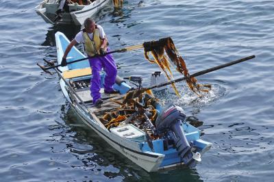 3年連続 北海道爆走3,000キロの旅 2020 礼文島編