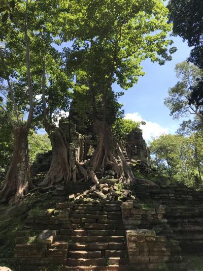 通常のツアーに入っていないプリアパリライ寺院