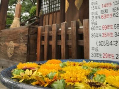 埼玉・行田の花手水2020①～水城公園の蓮と行田八幡神社～