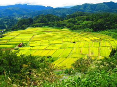 山形旅行