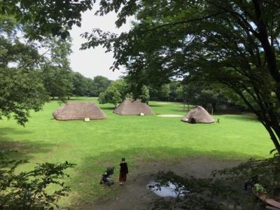 埼玉・富士見→川越の公園や花、工場直売巡り2020①～水子貝塚公園や水宮神社～