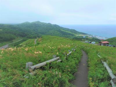 あこがれの利尻島・礼文島へ（３）・・礼文島、花ガイドさんと桃岩展望台コース・ハイキング