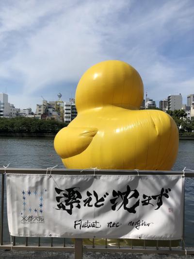 水の都大阪の花も　シティ散歩　舞洲・中之島・川の駅はちけんや＋帰ってきたラバーダック