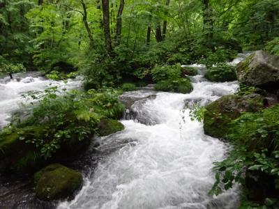 青森ぶらり旅　2．奥入瀬・十和田・大館(秋田)・弘前 編