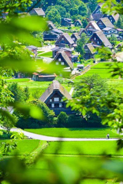 笑顔で行こう。1泊2日で満喫した北陸の旅　その1　【世界文化遺産】夏の白川郷合掌集落