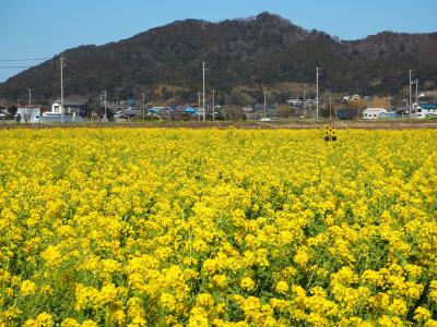 房総半島①