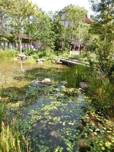 「STAY TOKYO 」都民の夏！前半（・ω・）/♪