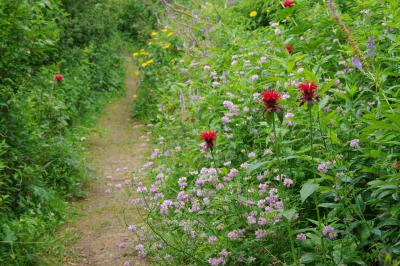 北海道滝上町の陽殖園　山そのものが秘密の花園