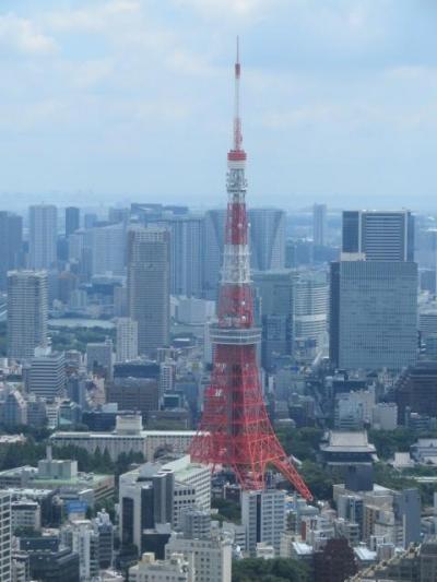 六本木ヒルズの展望台東京シティビューと森美術館に行きました