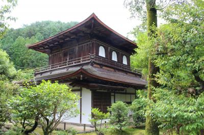 小学生と京都　1泊2日　京都水族館と金閣寺、銀閣寺