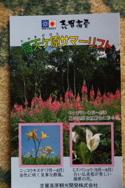 信州・志賀高原「東館山、高山植物園」