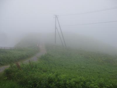 釧路7日間　湿原満喫