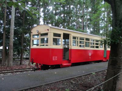 30年目のメタモルフォーゼ高山本線→富山地鉄→日本最後の国鉄急行型クハ455→尾小屋鉄道車両→芸備線