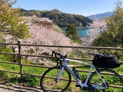 サンライズ瀬戸と香川のうどんを堪能しつつ、しまなみ海道で自転車の旅 3日目